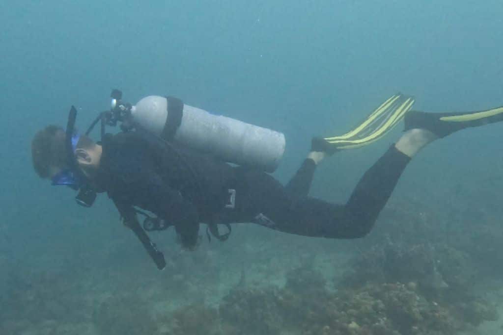 a diver looking down at the sandy bottoms of the Bocas Del Toro sea floor