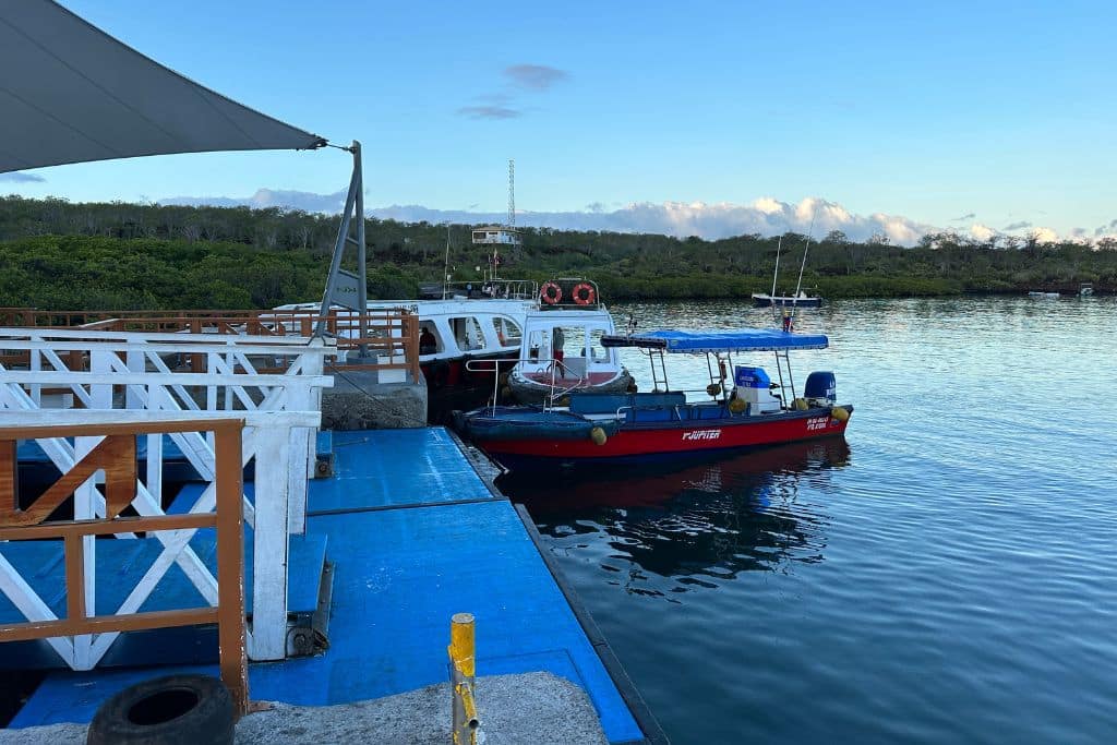small boats at a port in the Galapagos