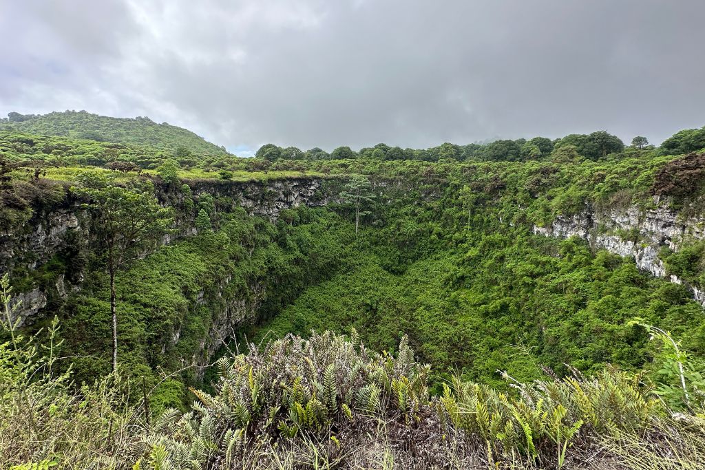 a large natural crater in the Galapagos filled with trees