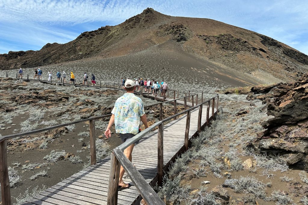 a line of people walking up a wooden walkway on a rocky mountain