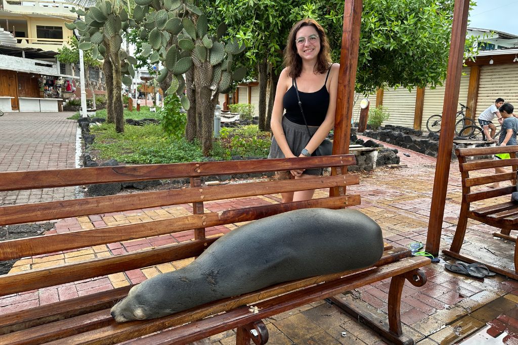 girl standing behind a park bench that has a sea lion sleeping on it