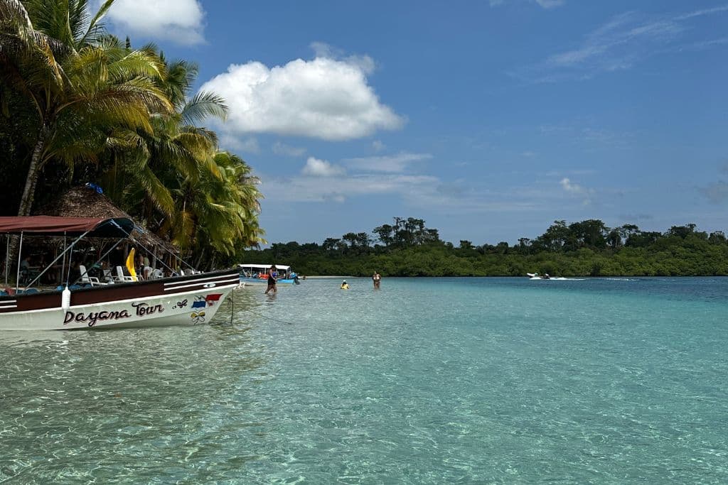 A beautiful beach on Bocas del toro with clear blue seas and palm trees