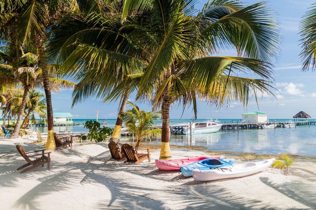a beautiful white sandy beach with palm trees and kayaks in Belize