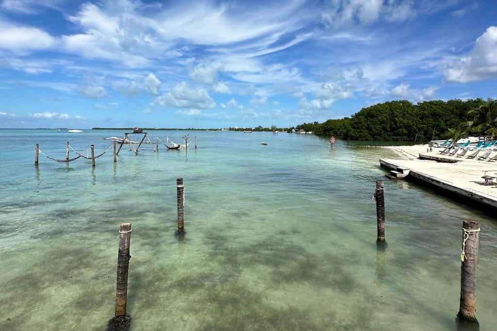 looking out over the sea from a pier in Caye Caulker, the water below is perfectly clear
